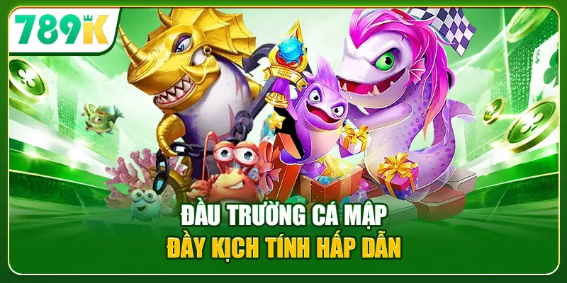 Đầu trường cá mập đầy kịch tính hấp dẫn